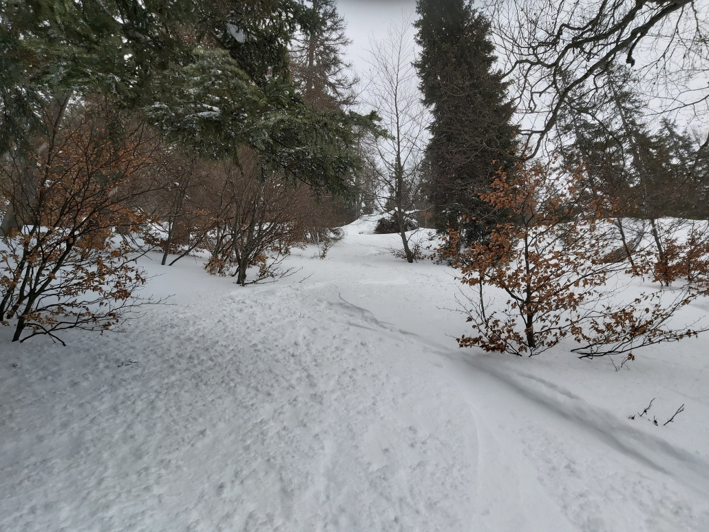 Etwas fluffiger wäre genial gewesen.