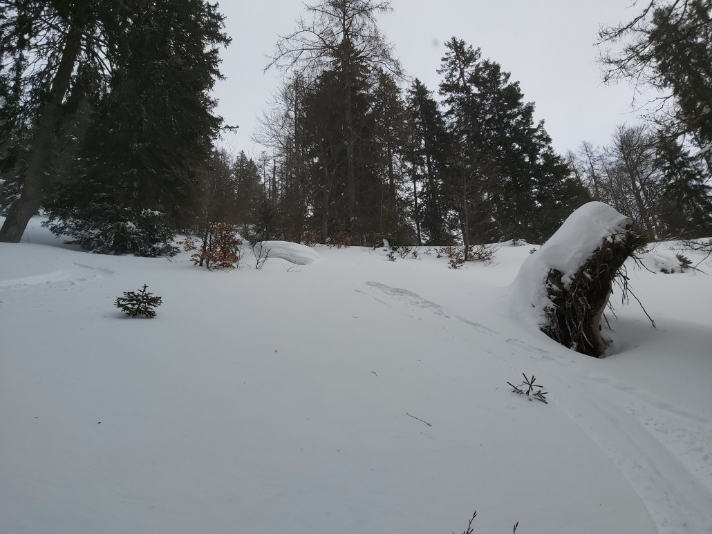 Hier und da auch ein kleiner Sprung.