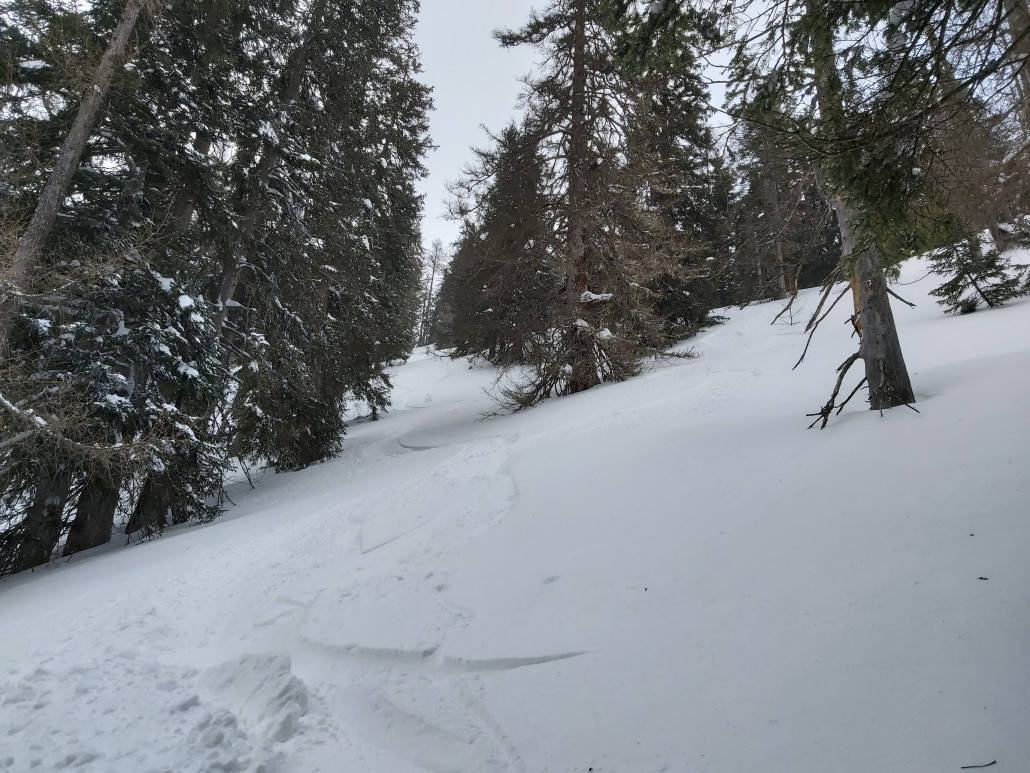 Nach der achten Fahrt wurde doch von mir vieles verspurt. Nur wenige andere fuhren hier. Doch ich wollte für Morgen noch was erkunden.