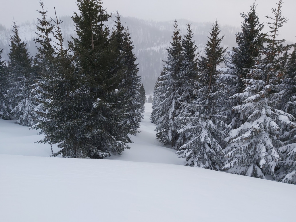 Ja eh klar. Im Geheimversteck nichts los. 15:40 Uhr ist es.