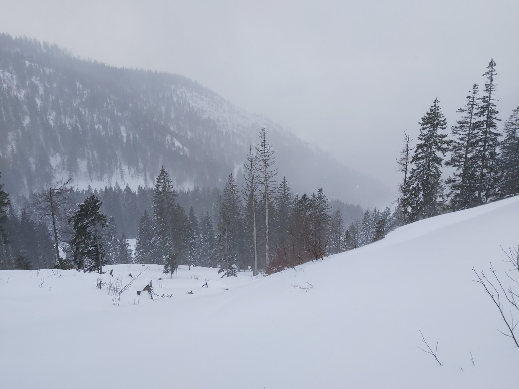 Eigentlich sollte es schon seit Stunden nicht mehr schneien. Doch das kommt mit ganz zurecht, denn vielleicht verdeckt es meine Einstiegsspur.