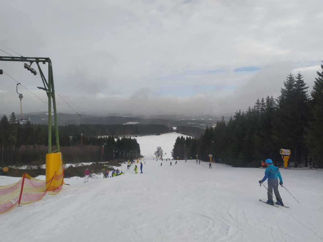 Am Bremberg-Schlepper wurde am Mittwoch die Baumreihe neben dem Lift gefällt