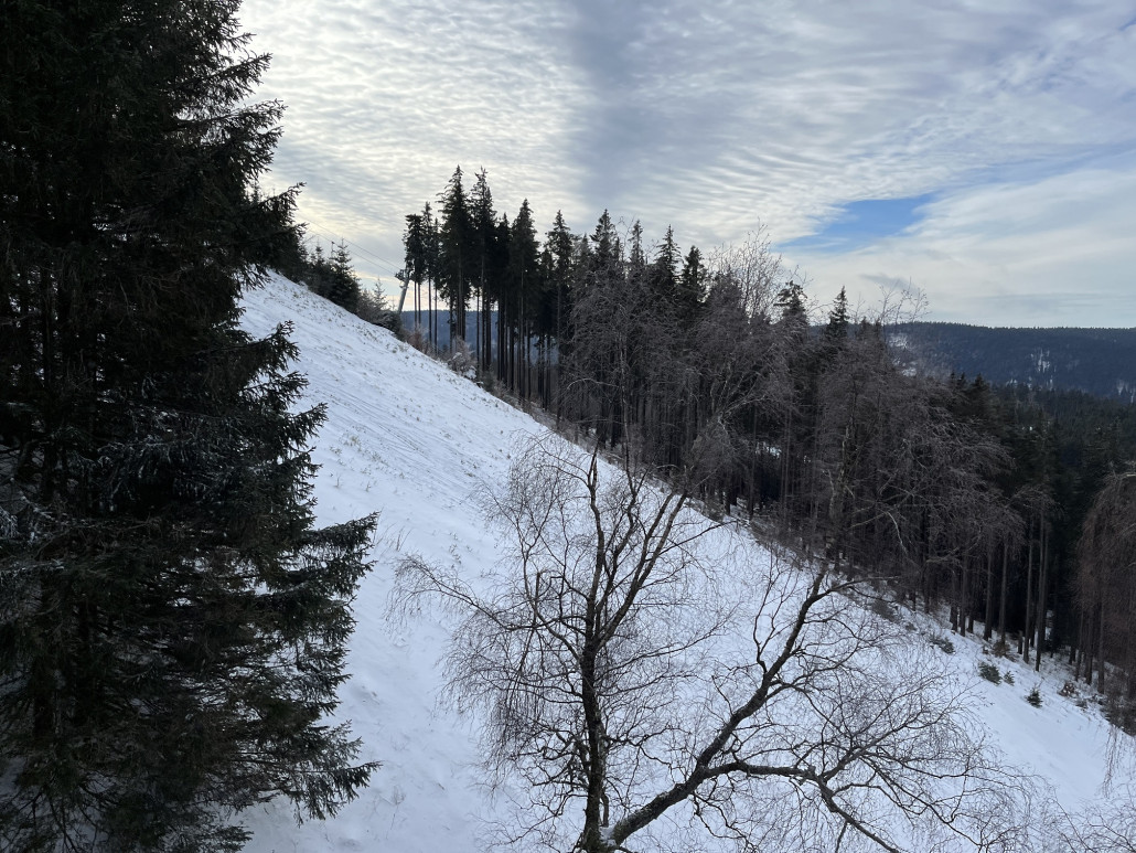 ...aber genauer geschaut war es uns doch zu dünn