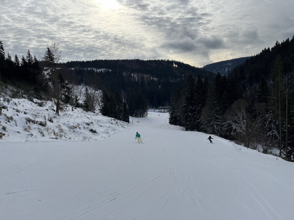 Zielgerade der "Paula" ebenfalls mit recht lichtem Baumbestand aber sehr gut beisammen den ganzen Tag