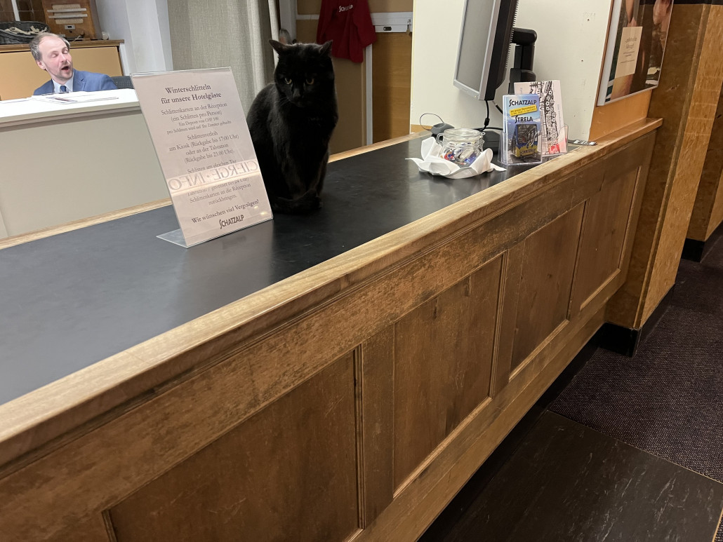 Rezeptionskatze
