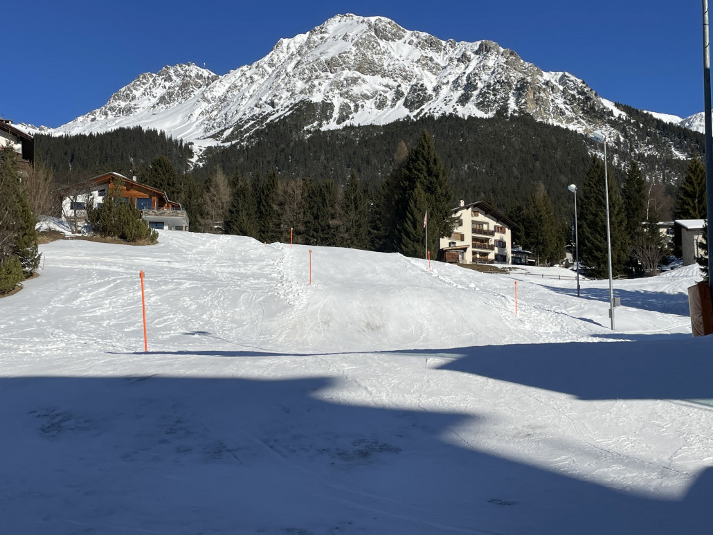 Bossihang. Trotz Beschneiung bereits mit braunen Stellen.