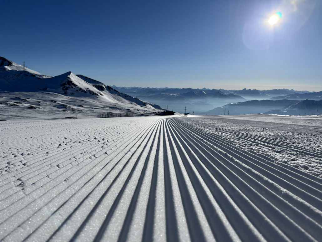 2023-02-09 09.19.14.jpg