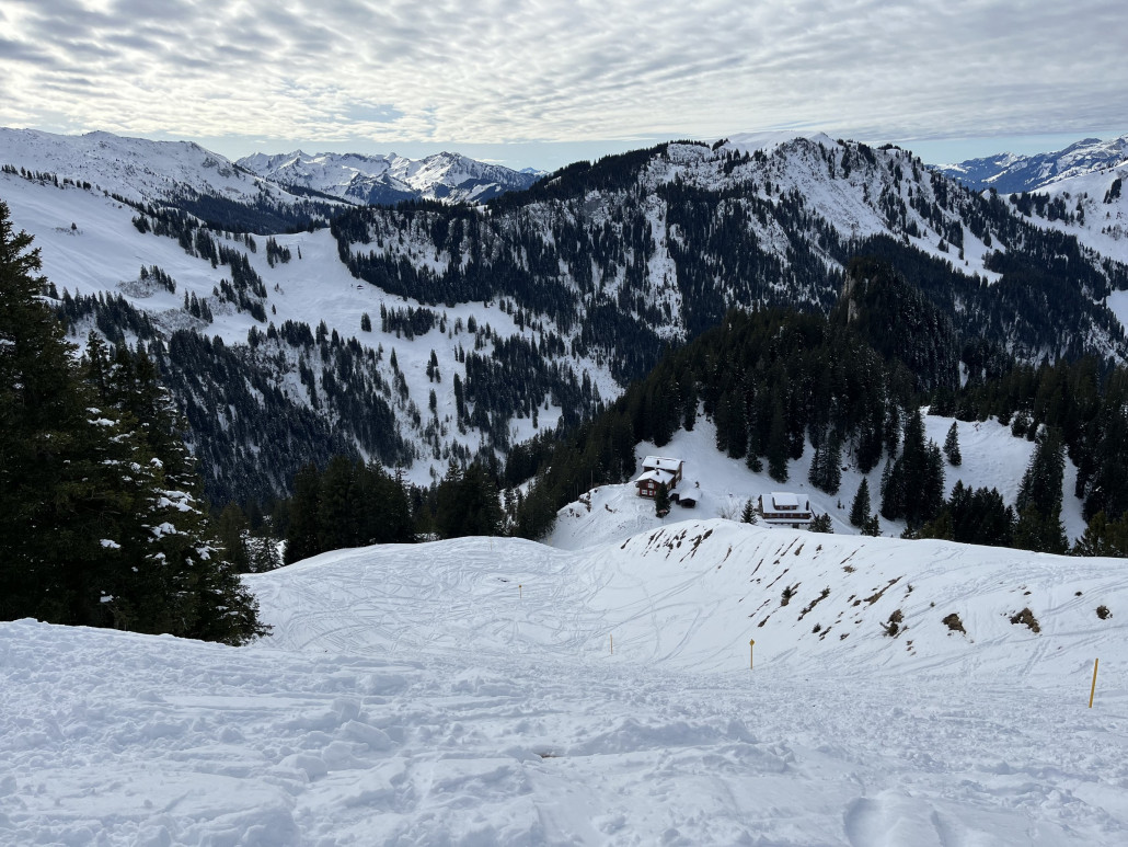 2023-02-11 15.05.02.jpg