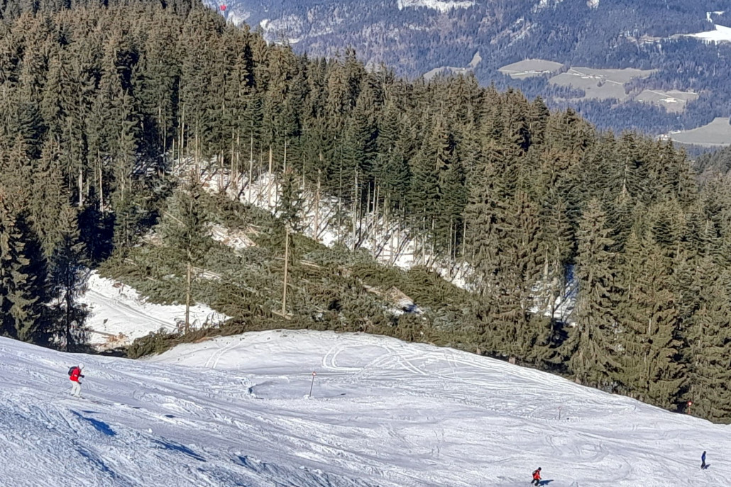 Blick von der Kraftalm Richtung Hochsöll