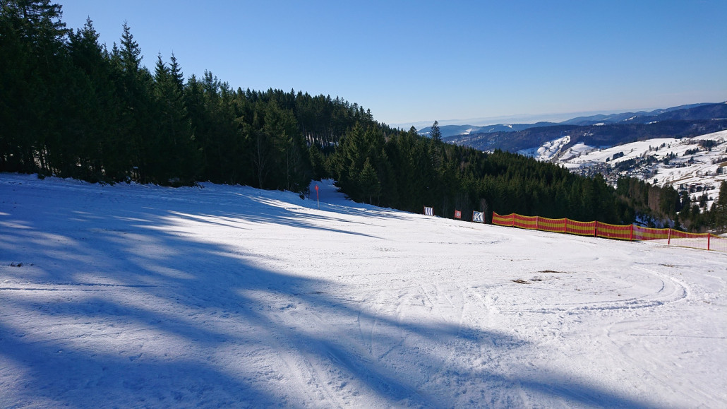 Hier biegt die Panoramaroute links auf einen Waldweg ein