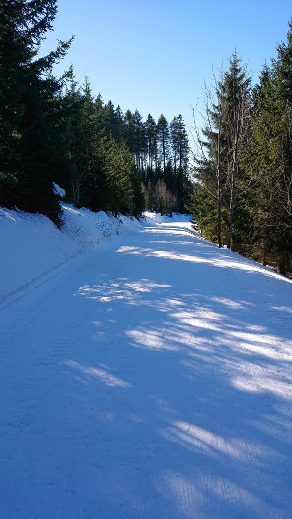 Alternative Waldroute