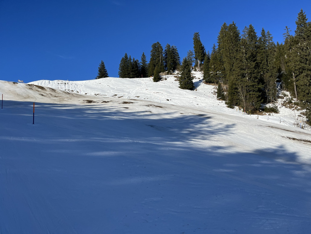 Twäregg mit viel Braun und Gras