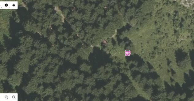 Dieses Luftbild stammt aus dem Jahr 2017, zu erkennen eine Spannstation mitten im Wald