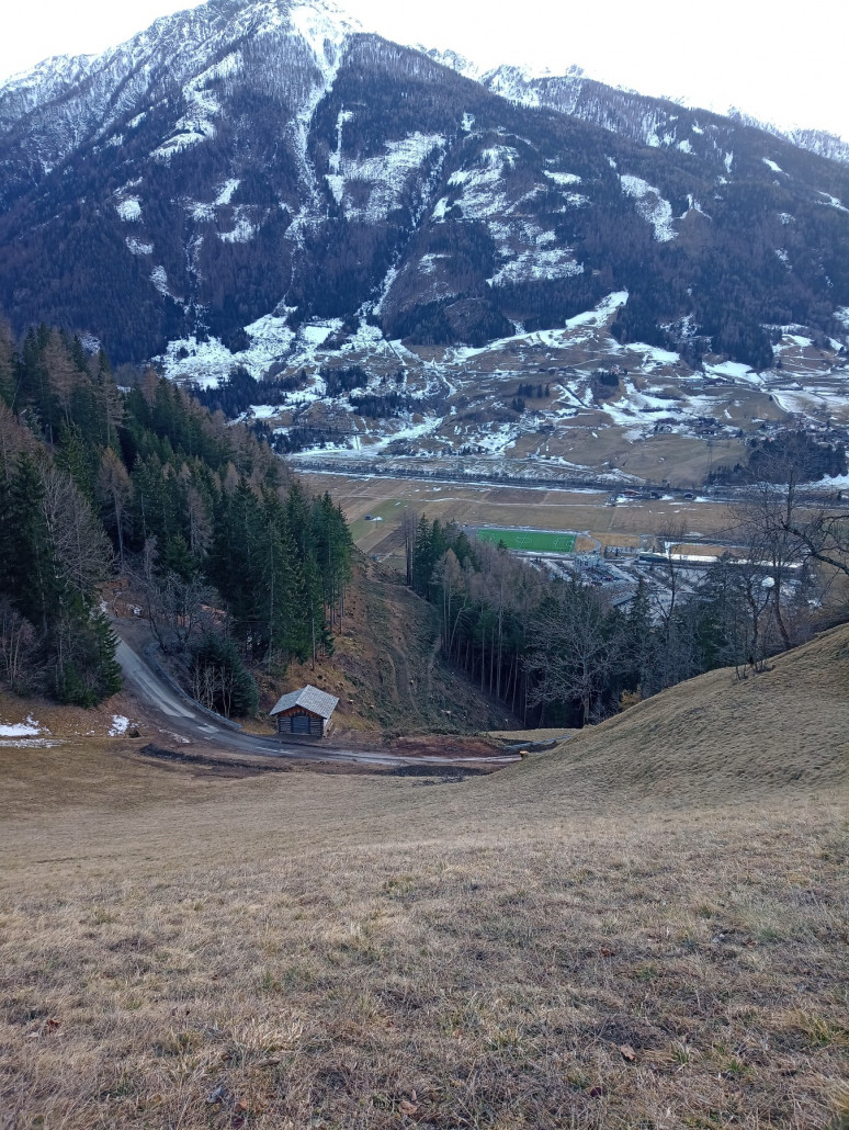 Neu freigeschlagene Piste