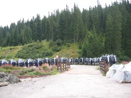 08-Diamond-Kabinen in Wartestellung.jpg