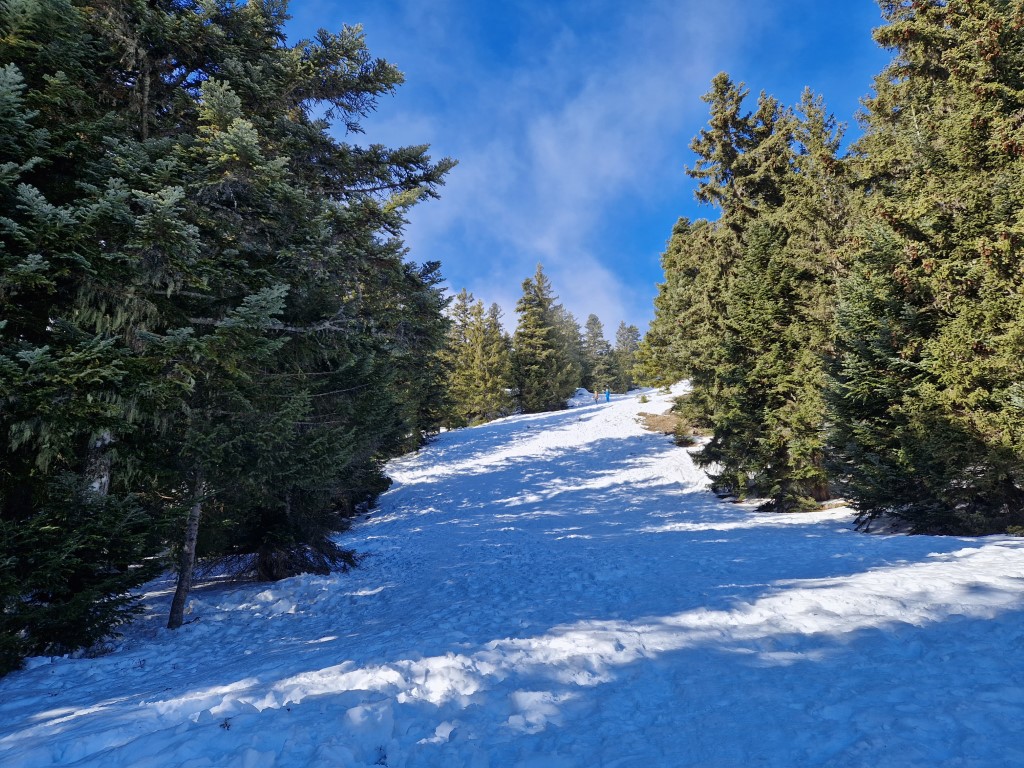 Chamrousse_2023_by_MarkusHahn (8).jpg