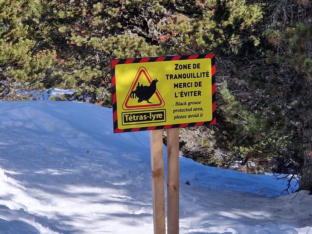 Chamrousse_2023_by_MarkusHahn (11).jpg