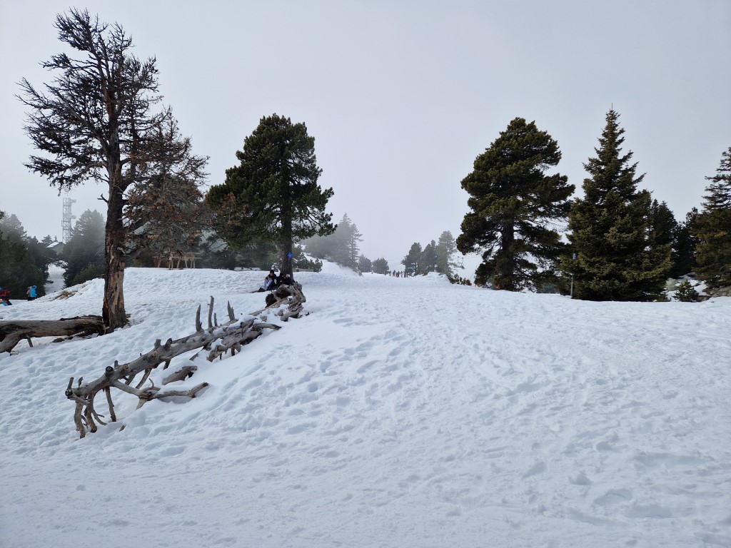 Chamrousse_2023_by_MarkusHahn (13).jpg