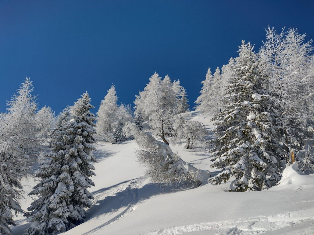 Neben der Piste Nr. 24, tolle Winterlandschaft.
