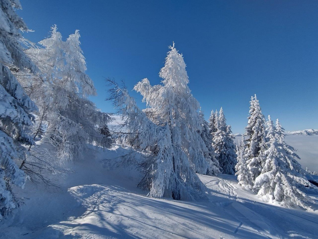 Winterwonderland neben der Piste Nr. 12.