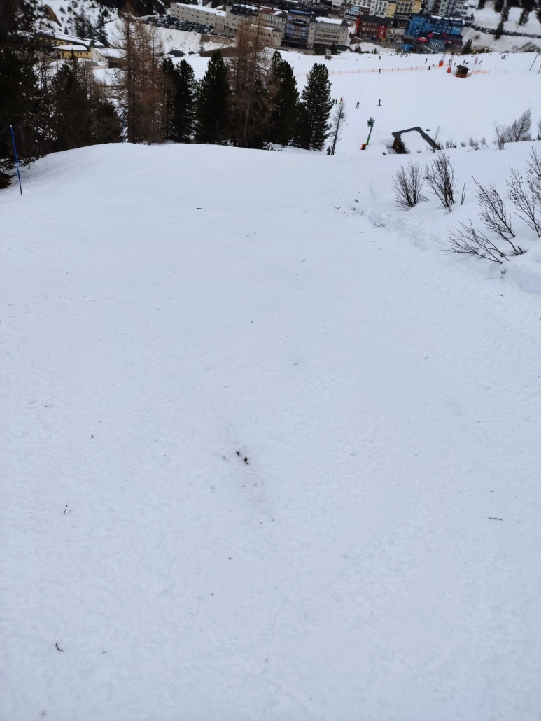 Zehnerkar Piste 1c, da schaut auch schon das Gestrüpp wieder raus
