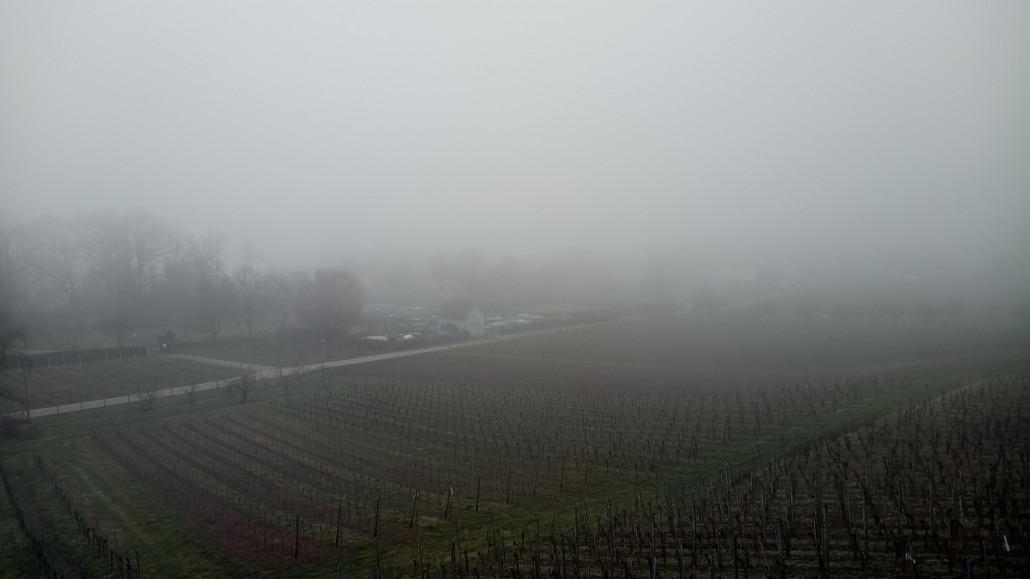 Hier hat's Schiff! Kann nicht mehr weit sein!