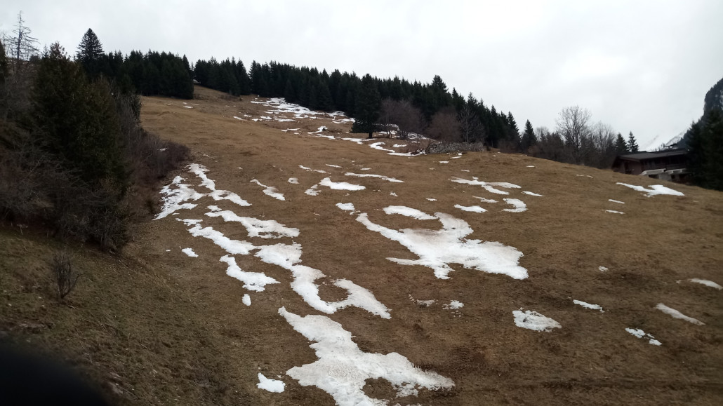 Das mit dem Schnee, das lassen wir jetzt besser.....