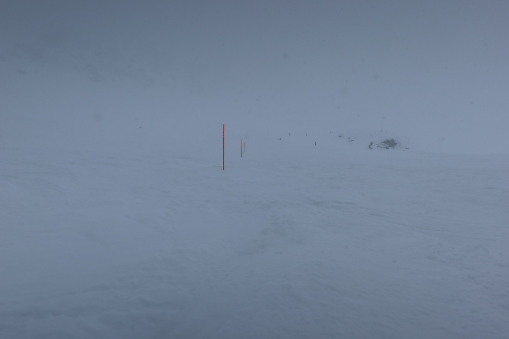 Gentianes-Tortin nachdem man wieder minimal etwas sieht. Was wohl oben und unten ist?