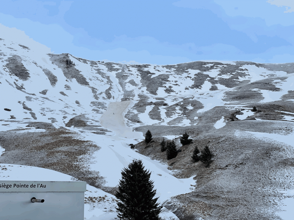 Blick auf die Piste Hermine, wohl der schlechtste Piste aber  unentbehrlich für die Verbindung zwischen Champoussin und Les Crosets. Neue Ski's bitte zuhause lassen! Aber es seht schlimmer aus wie es ist.
