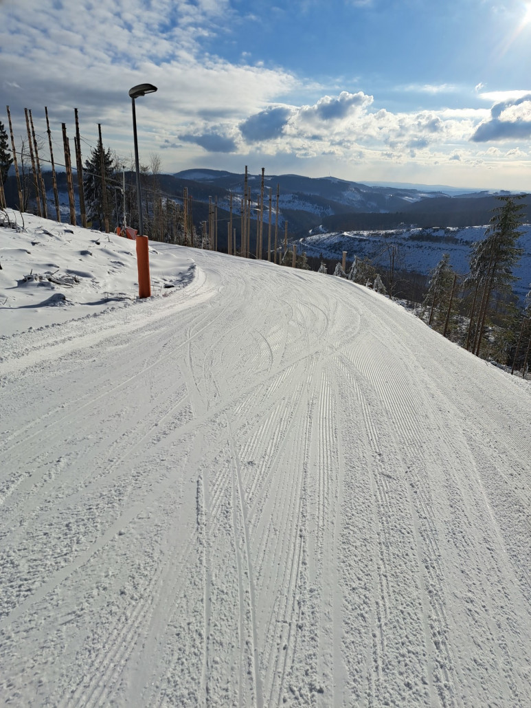 Ungewohnt ohne Bäume