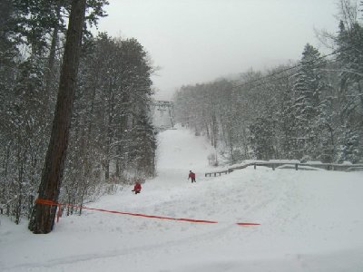 Das allerletzte Stück der Talabfahrten. Die letzten 200 Hm sind recht flach und meist pistenmässig ausgefahren.