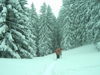 Gsollwiese ... Hier trennen sich Standardabfahrt (Schöller) und Lahngrabenabfahrt