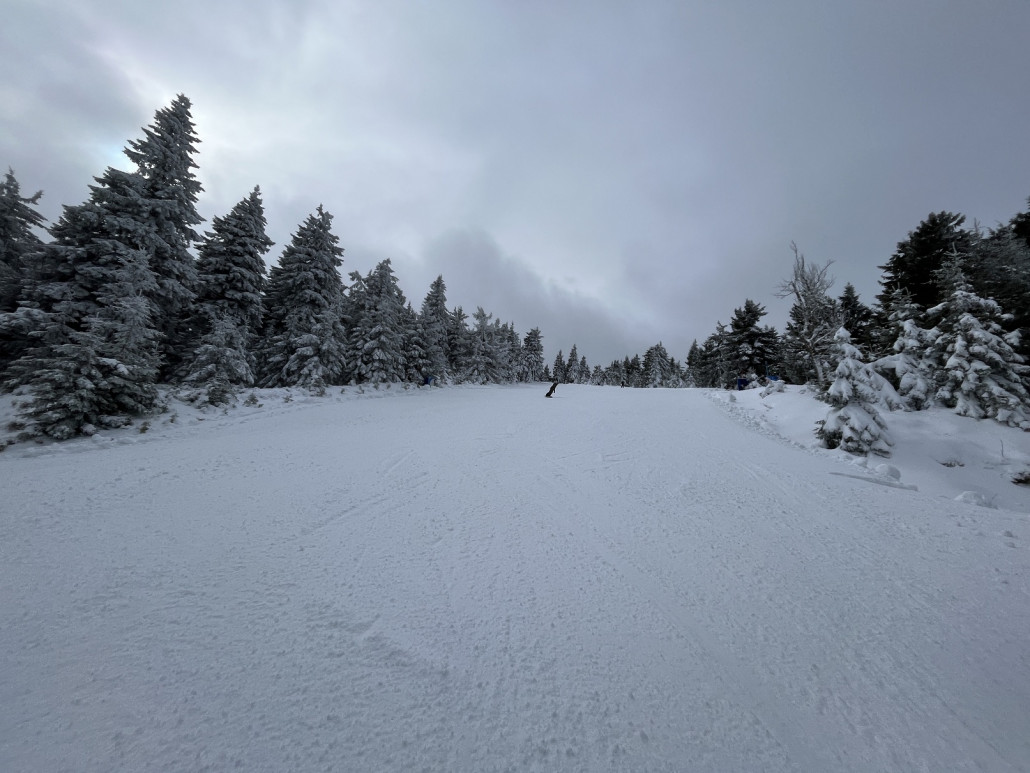 Knollen im Mittelleil aber auch hier zu finden