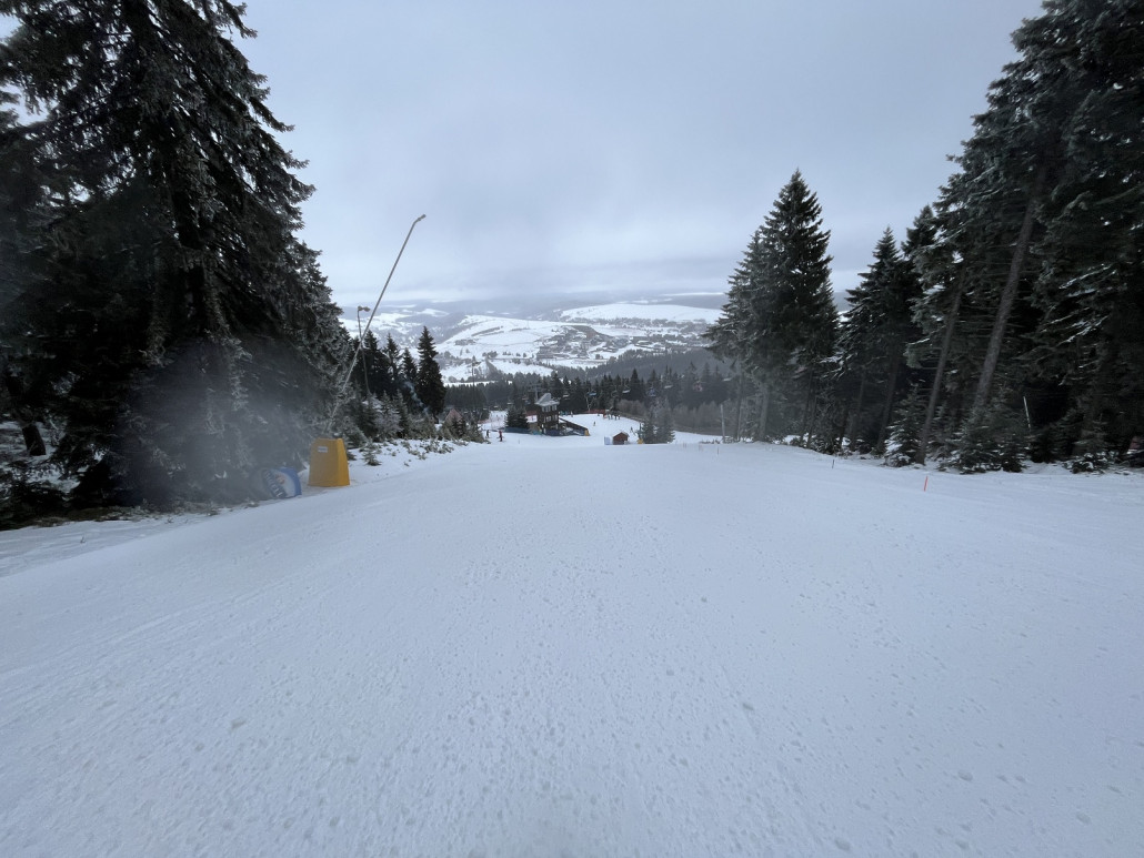 ...bis auf das übliche Knollenfeld
