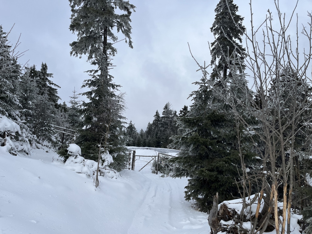 Ist der leere Speicherteich der Grund warum nicht mehr beschneit wurde auf den Pisten 9 und 10?