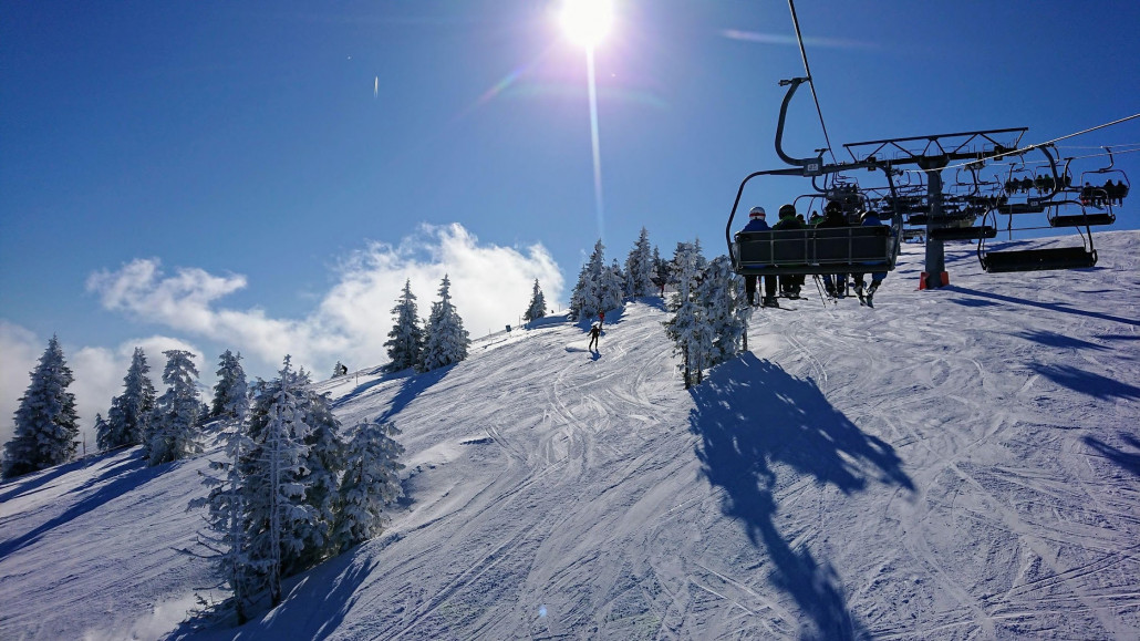 März 2020 (003).jpg