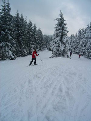Träume aus Schnee IV