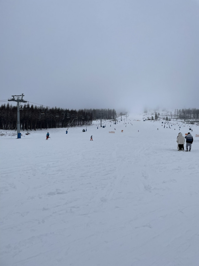 Standartblick von unten