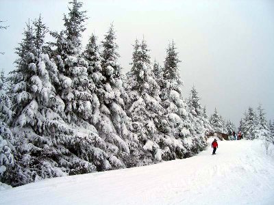 Träume aus Schnee III