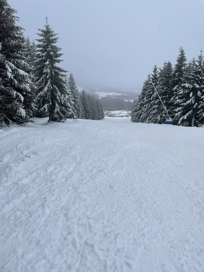 Im unteren Abschnitt der Panoramaabfahrt