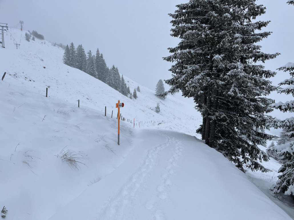 Der Rückbringer läuft natürlich auch nicht