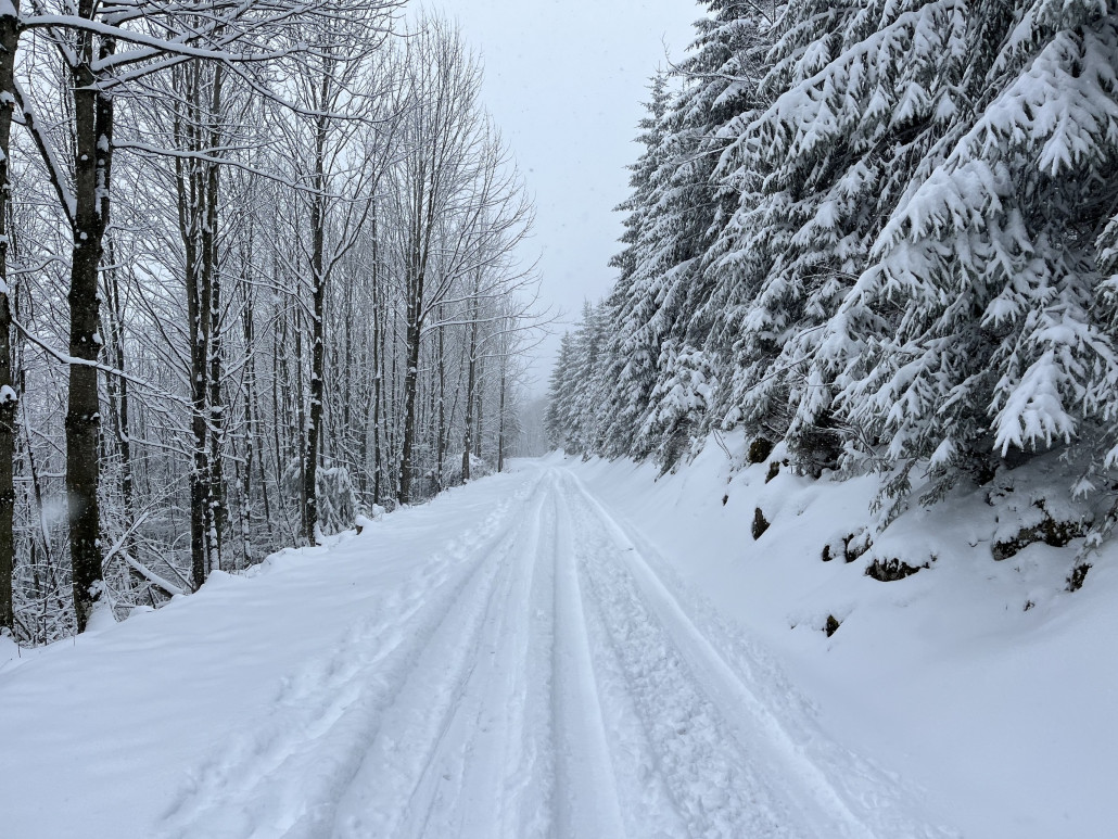 auch auf der Strasse
