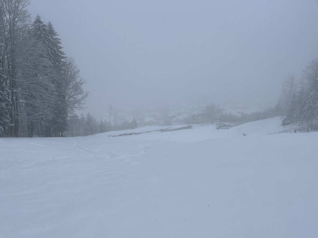Emmetten in Sicht... naja. Der Schnee ist schwer, man kann kaum drehen