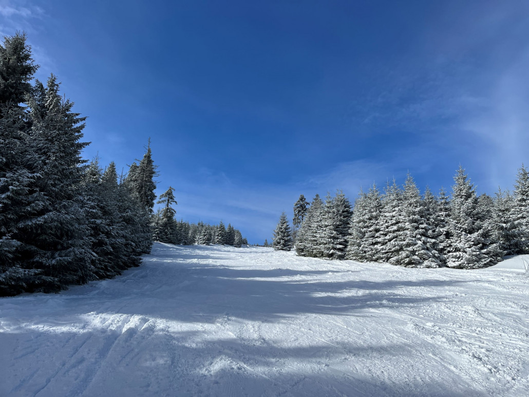 Mittelteil mit tollem Pulverschnee auf fester Unterlage