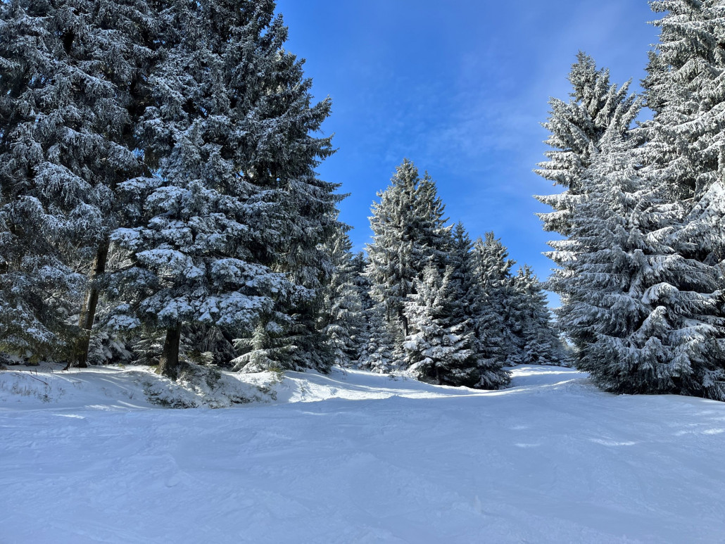 Blick zurück auf die S-Kurve