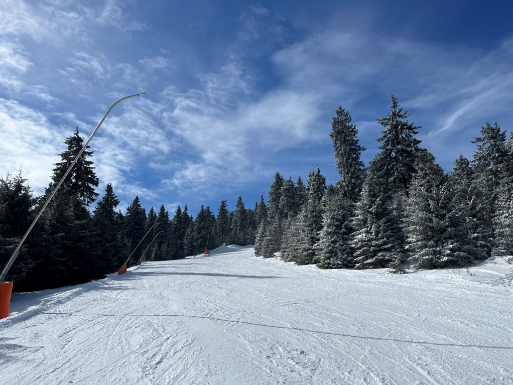 ...besonders talwärts links ist die Auflage (wie jedes Jahr) eher dünn