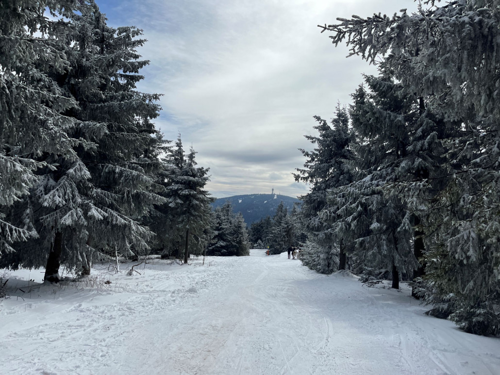 Dank Neuschnee war die vom Plateau weg ohne Steine fahrbar, direkt vor der Hütte dann die erste kritische Stelle...