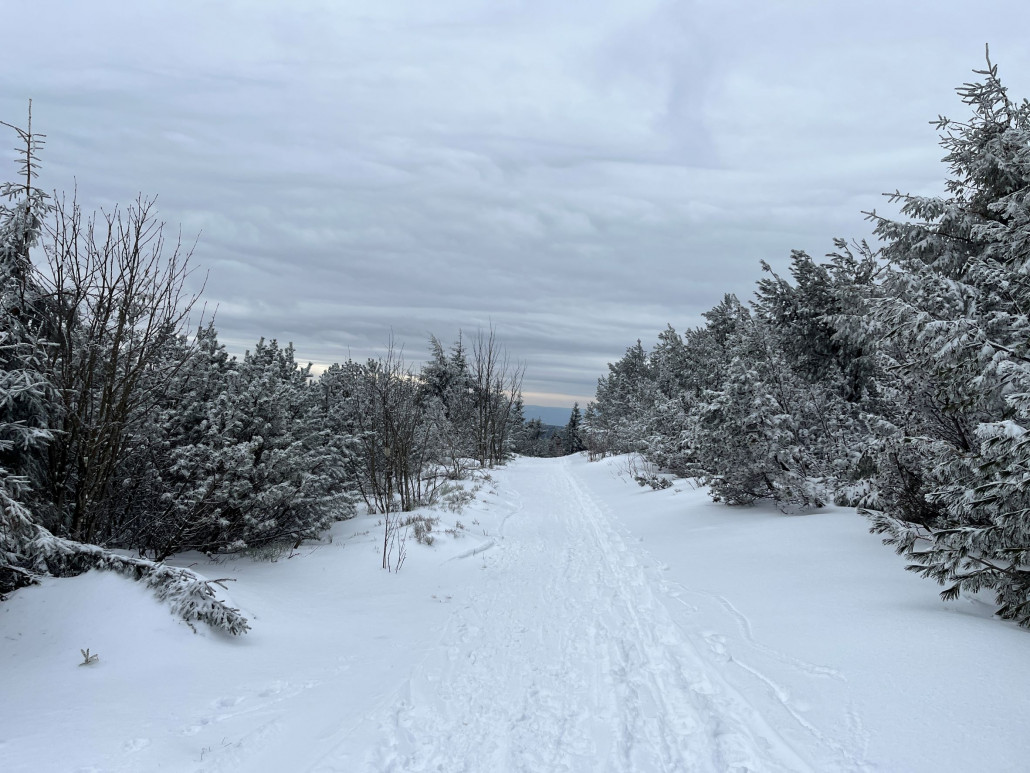 Die direkte Piste 6 (oder Route) sah schon sehr zerfahren aus, also weiter zur 7 in der Hoffnung auf bessere Chancen