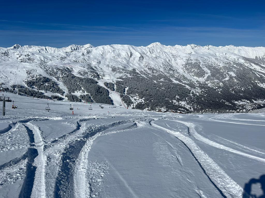 WhatsApp Image 2023-03-15 at 11.00.34.jpeg