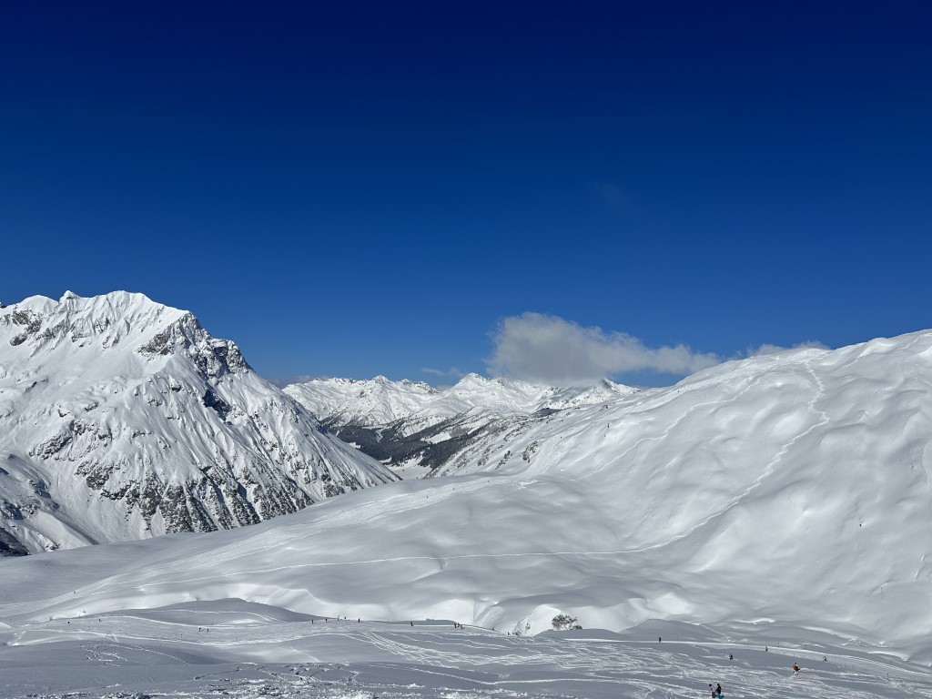 Powderday_März23_LZTG_by_Katrin_Schwarzmann (15).jpeg